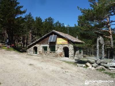 El pinar del Puerto de Navafría;la granja de san ildefonso;senderismo;conocer gente